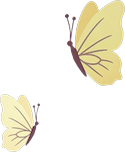 Twee vlinders